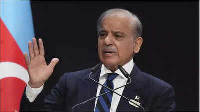 'Even China, Turkey Unwilling To Pay Us': Pak PM Sharif's Candid 'Begging Bowl' Admission
