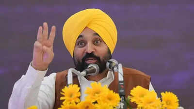 'Sindoor In Modi's Name': Bhagwant Mann's Remark Stirs Political Storm; BJP, Cong Lash Out