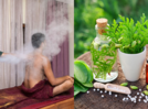 How Patanjali Wellness centres are revolutionising healthcare with ancient techniques